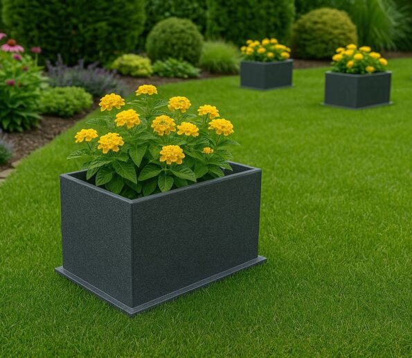 WhatsApp Image 2025 07 12 at 22.27.25 1 595x516